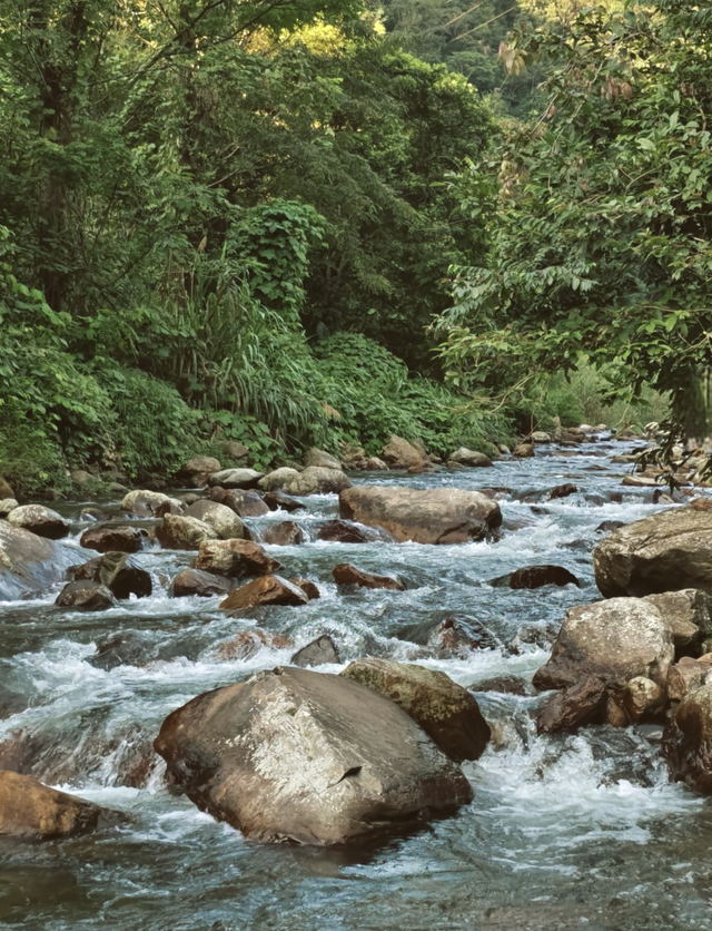 广东韶关市西北部的大瑶山
