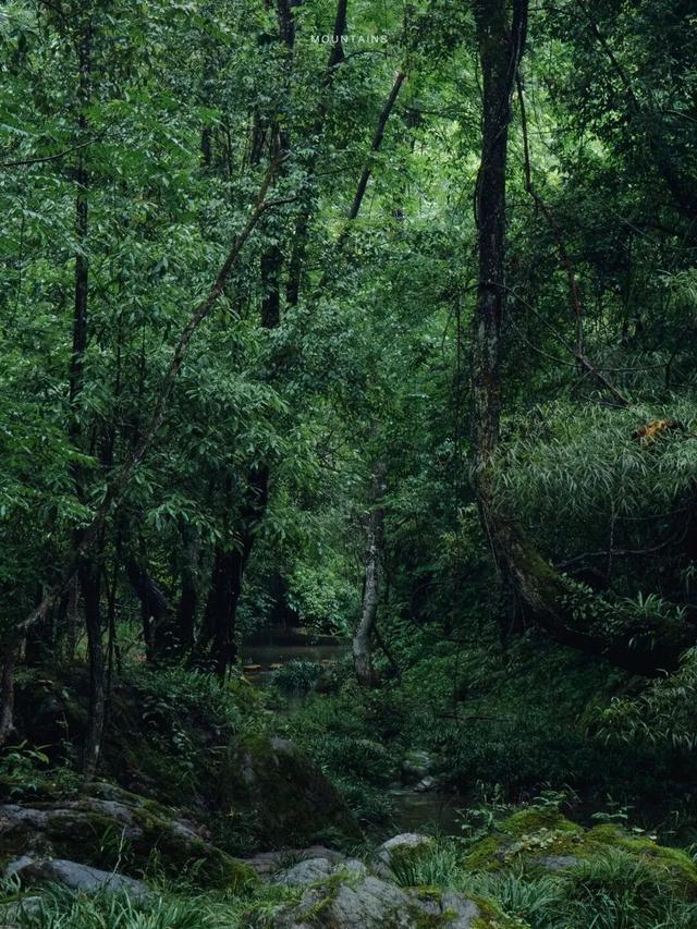 烟火漫石泉，山水寄长情