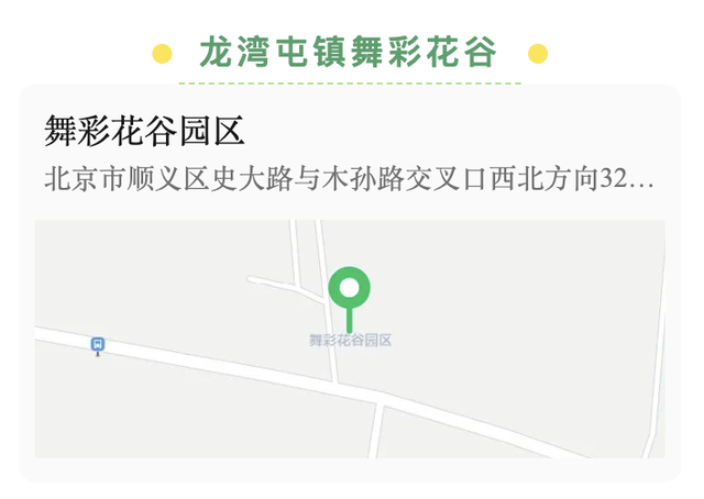 藏不住了！顺义秋日限定花海，安排——