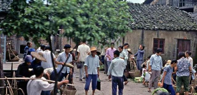 他是南宁市委原书记，连任两届中央候补委员，1985年降为处长