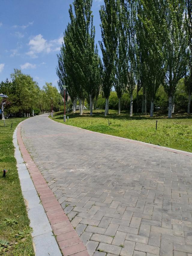 又是半年去兰州新区