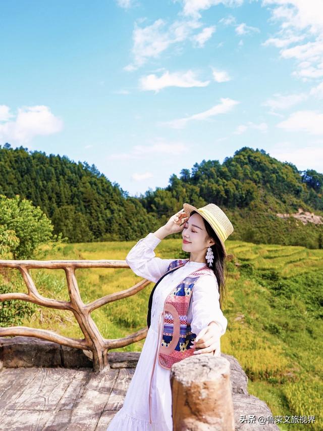 欧家梯田：秋日稻浪里的金色狂欢