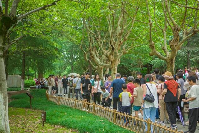 12万+人次赴约！如皋这个景区太燃了