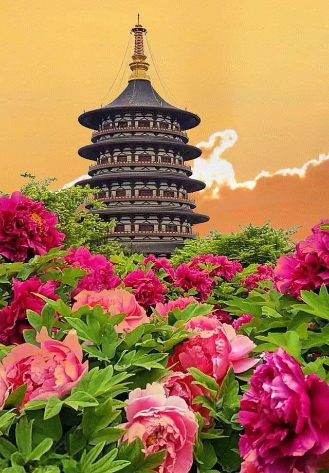 江苏没想到，山东也没想到，如今的中国河南，已成为全国焦点