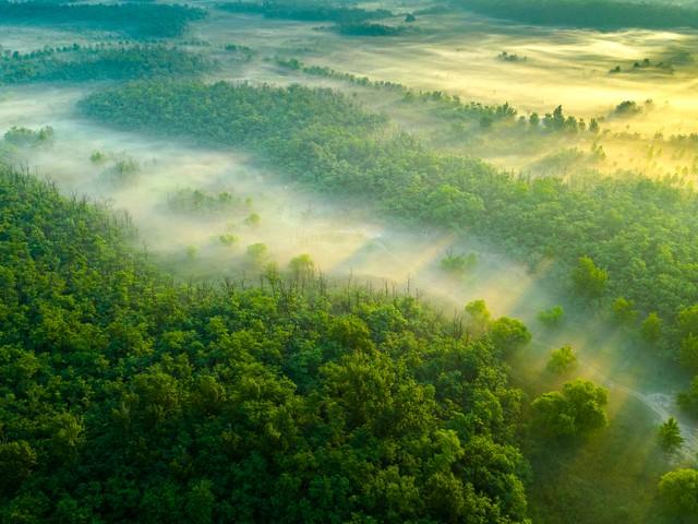 男人跟你吵架后，之所以敢不低头，不道歉，就是抓住了这三个软肋