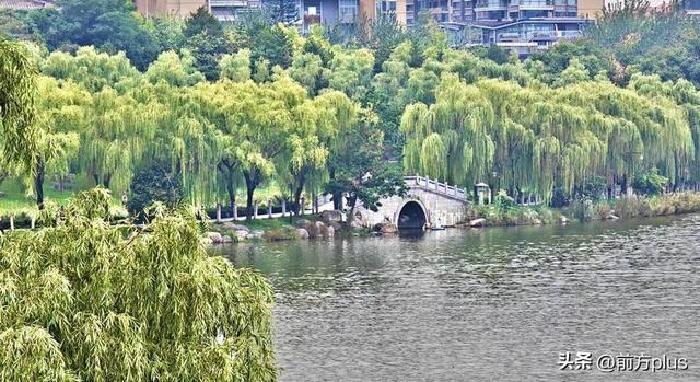 雨洗尘去 曲江池畔秋意正浓