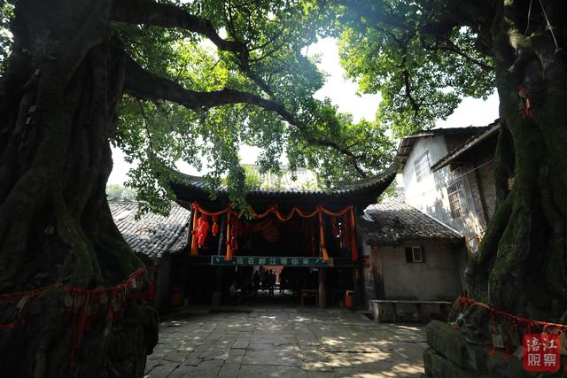 郪江古镇：隐匿在时光褶皱里的文明切片