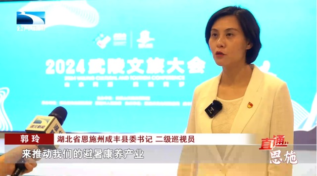 【山水同源·武陵同梦】渝鄂湘黔川共聚 绘就武陵文旅新图景