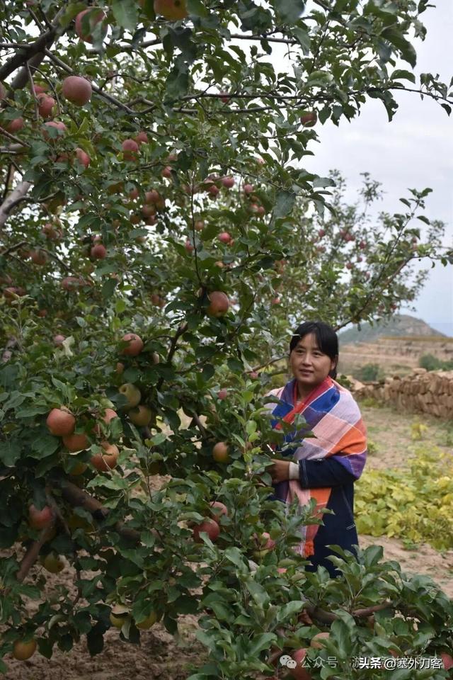 走进绥德义合乡虎墕村：黄土高原上一个被遗落的石头城