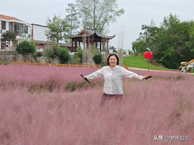 湖北：国庆节网红打卡地 云梦花开十月紫黛草韵染秋色