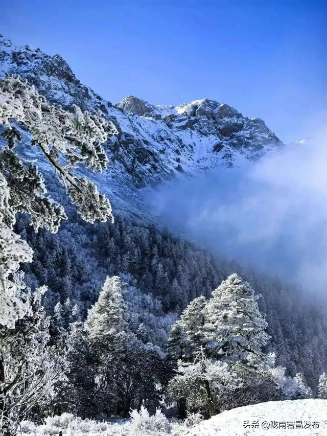 秋辞官鹅：一季斑斓入岁华