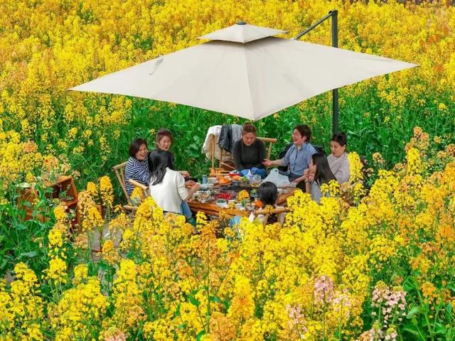 变着“花漾”宠游客，“水城双赛”人气旺~这就是新津的“津”彩生活！