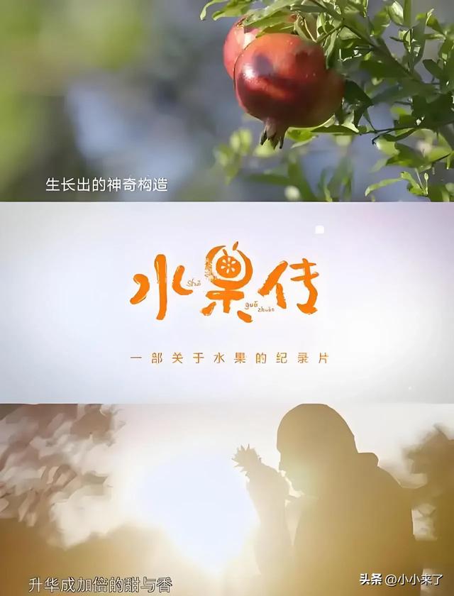 6岁前别只看动画片！央视这些低龄纪录片，帮孩子拉开认知差距