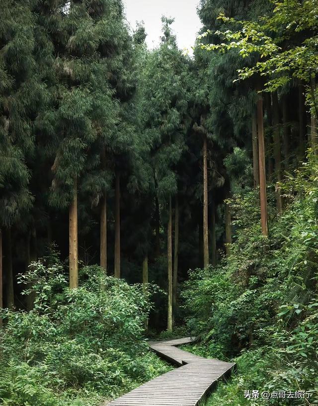 成都彭州5条爆红徒步线路，被严重低估，全部免费，景色秀美！