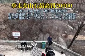 爬泰山，泰山石是否可捡拾带回家？一触即发的罚款细则揭秘！图片