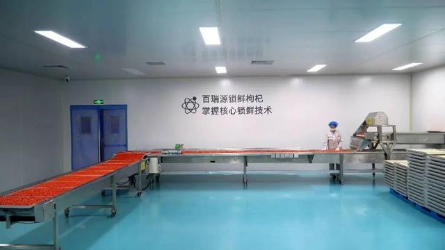 大美银川的“美”