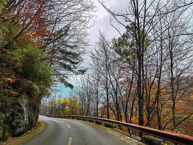 2024深秋四川行19 神农架风景区2 华中屋脊的五彩秘境