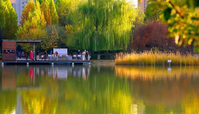 赏“秋”正当时！来太原这个公园遇见最美秋日