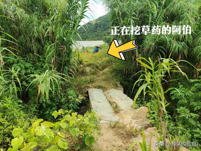 发现探索:厦门深山曾发生过鼠疫的村庄，居然藏着一座方型土楼