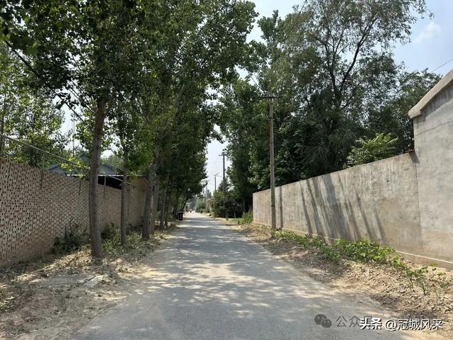 冠县乡韵·柳林镇三里屯村