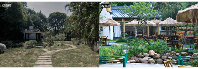 深圳园博园：用公园打开城市新生活方式