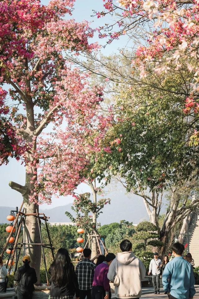 冬日暖阳里，来丰泽这儿享受惬意时光……