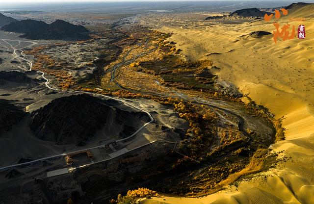 【小陇画报·427期】多坝沟胡杨峡 隐藏着大西北的极致秋色