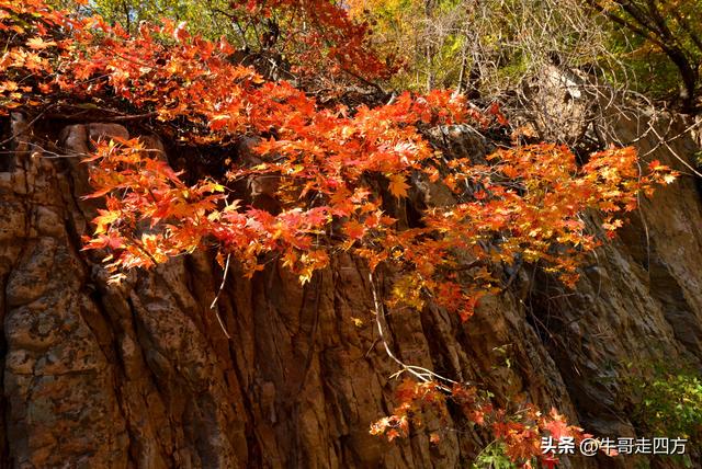辽阳核伙沟（上）：百里锦绣廊、东北小黄山