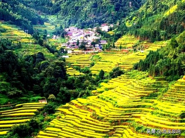 藏在深山中的“丰”景诗——九峰溪下寻秋记