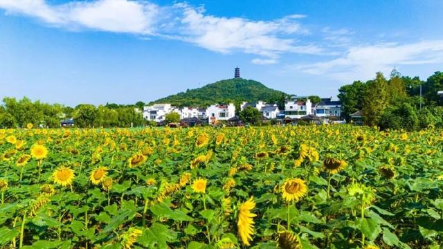 来不来？不来后悔一辈子