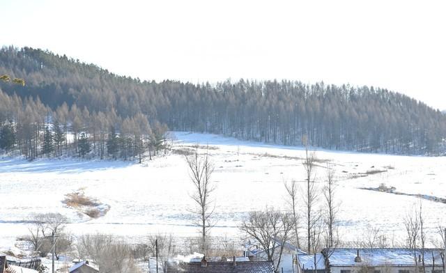 “不怕立冬阴一天，就怕立冬一天晴”	，今日立冬，天晴有啥预兆？