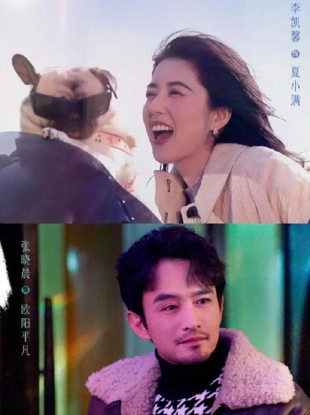 全是反转!《他为什么依然单身》16集大结局，是看过最意外结局