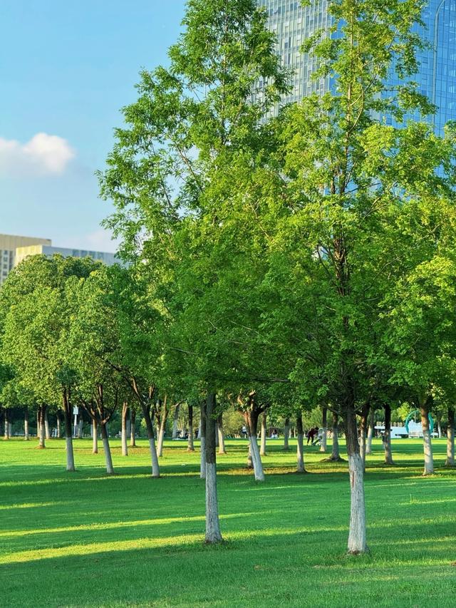 合肥下一个主城或将诞生？不是庐江、巢湖，堪称最具黑马相的城区