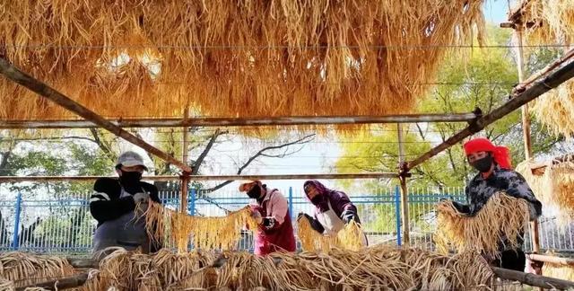 黄河三峡盛开民族团结之花——临夏州永靖县“文旅融合+民族团结”发展纪实