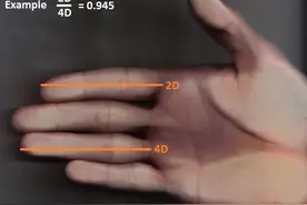 你的手指长度揭露了你的“本性”：食指越长的人，越“女性化”图片