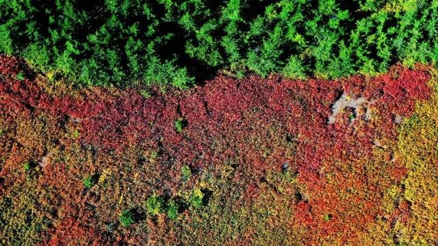 走进赤峰马鞍山林场 邂逅绚烂山林秋色