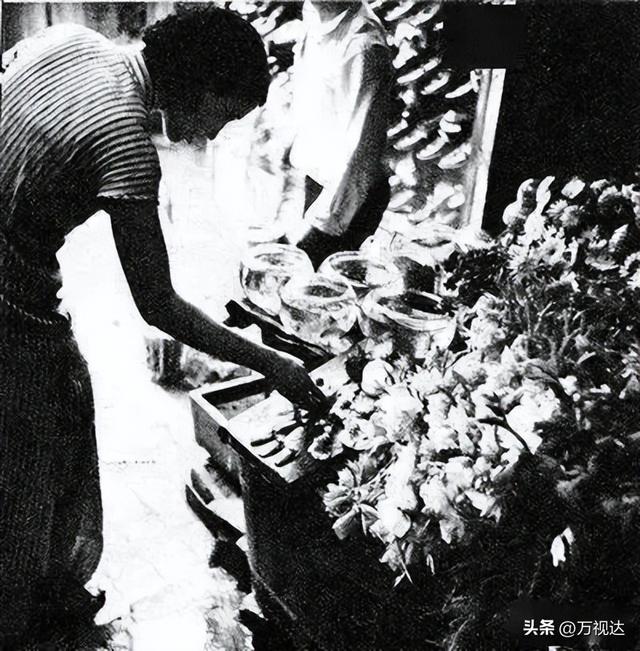 争奇斗艳！天津人别错过这最后一波“顶流花海”