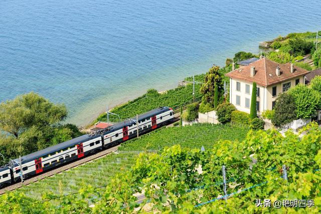 欧游杂记（2）‖ 日内瓦湖畔的美丽：从日内瓦到蒙特勒