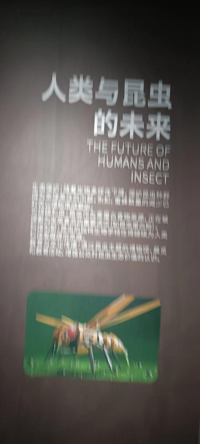 西安长安云昆虫展你来了吗