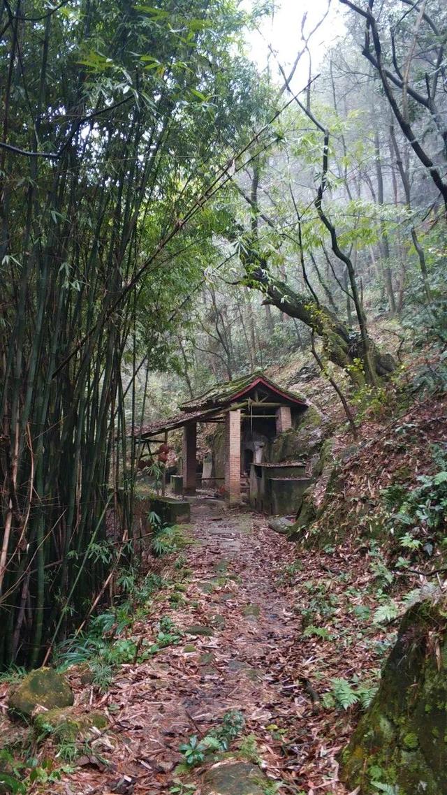 重庆南山被遗忘的千年古道，曾是重庆出川重要通道，如今成为秘境