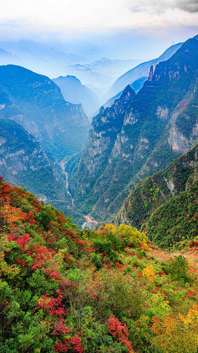 一江碧水，两岸红叶，静看三峡绚丽之秋