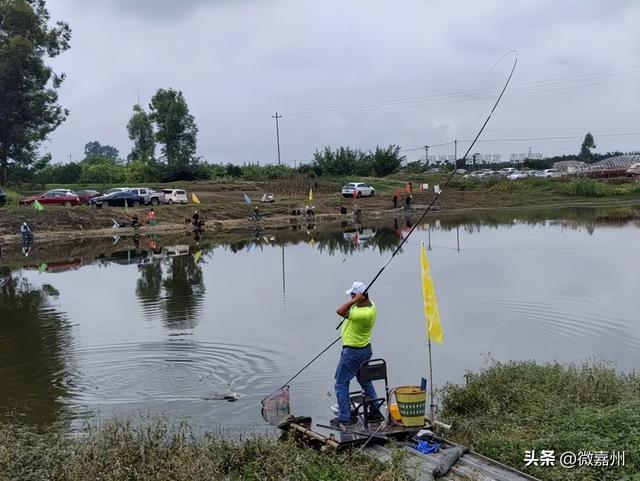 嘉州味・双节乐丨这个国庆，打卡悦来文旅新场景，感受诗意假期