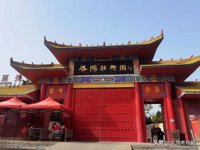 做几天洛阳人——游河南洛阳赏牡丹芬芳 总体概述(四)