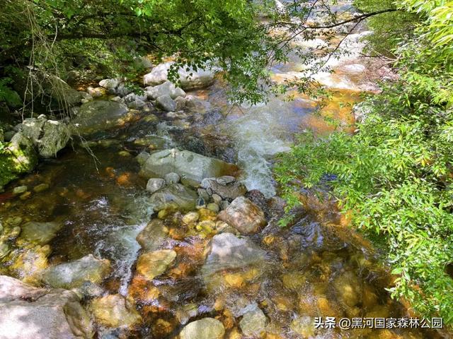 立秋已至，暑热未消，黑河山水与你相约“剩”夏的时光