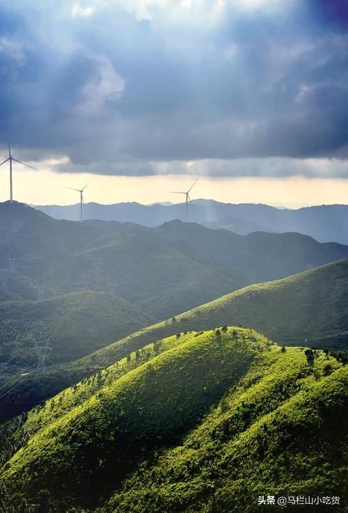湖南郴州旅游，桂东万洋山打卡攻略！