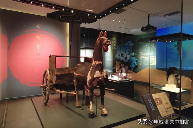 青海省博物馆：参观青海历史文物展