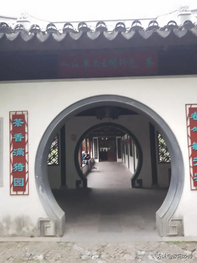 万万没想到上海的古猗园是这样的
