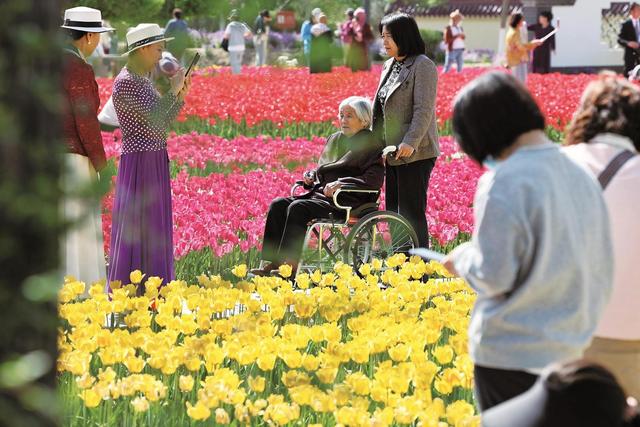 银川用公园廊道织密生态绿网 让推窗见绿、出门入园成为日常