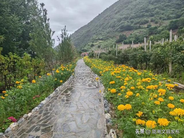 文县：白马藏乡花如海避暑秘境等你来