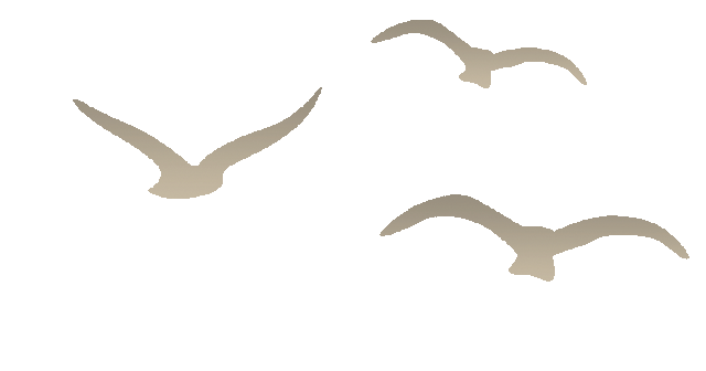 秦人故里，一湖秋色。